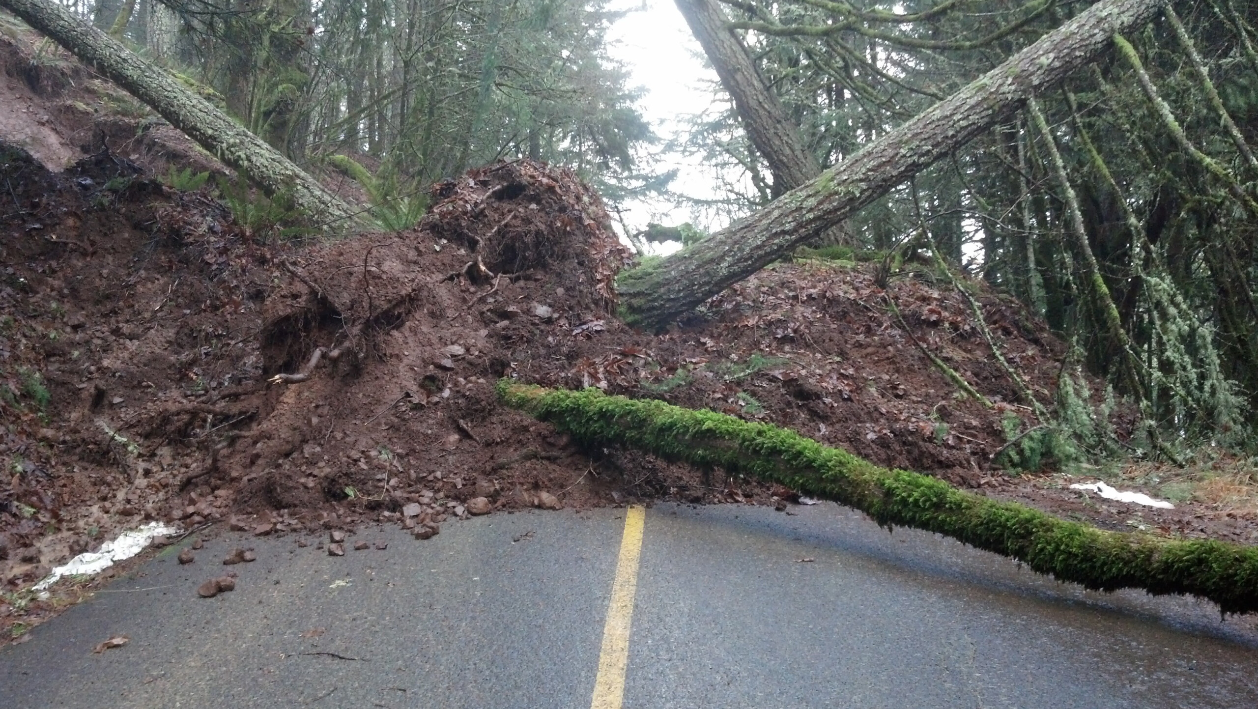 Natural Hazards Mitigation Plan NHMP Benton County Oregon Natural Hazards Mitigation Plan NHMP Benton County Oregon